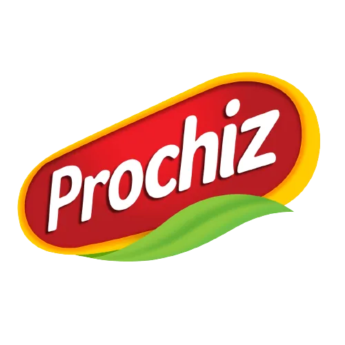 Prochiz logo png