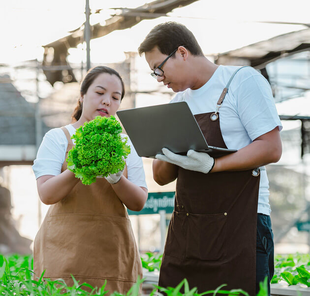 Website Agri Industries 1 Reporting