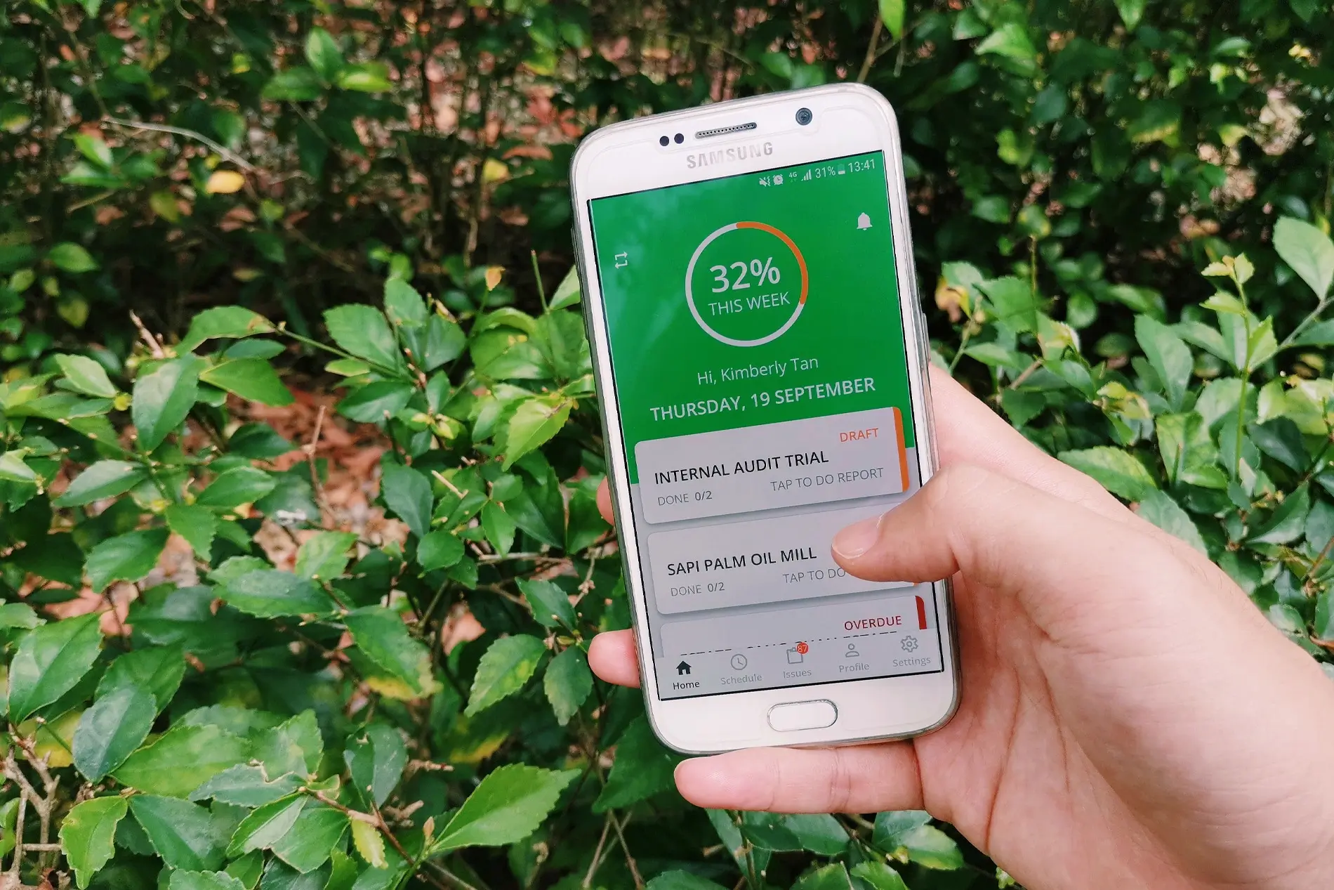 Wilmar's case study in using Nimbly