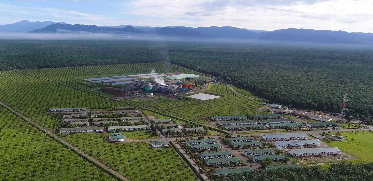 Wilmar plantation field assessment