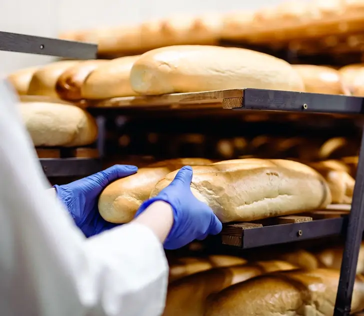 Filler Image IPR Factory 1